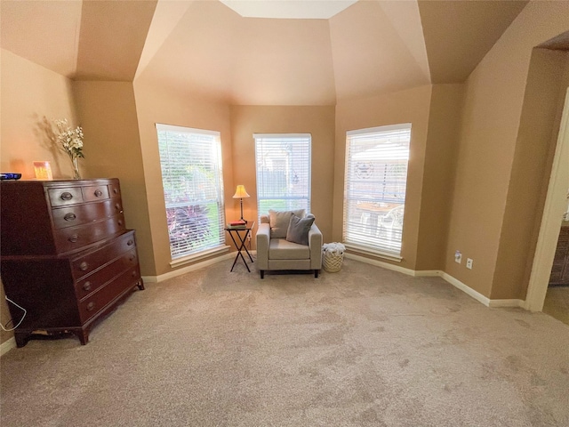 519 Ivory Stone Ln, League City, TX 77573 - photo 21
