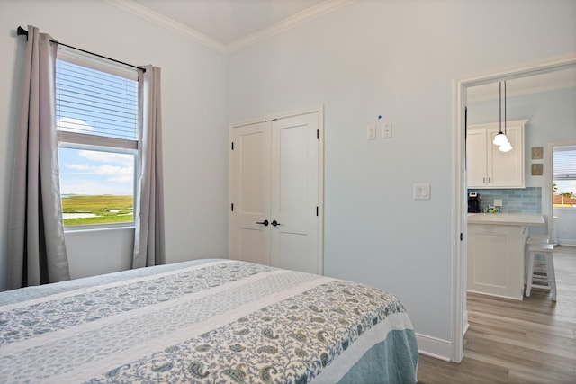 1229 N Stingaree Dr, Crystal Beach, TX 77650 - bedroom with wood finished floors, crown molding, and a closet