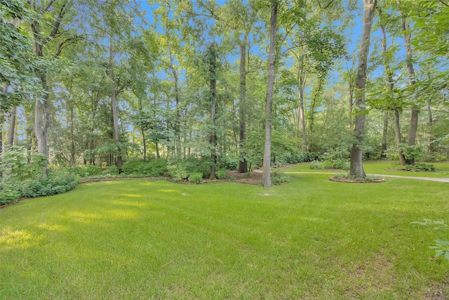 9511 Clubhouse Cir, Magnolia, TX 77354 - photo 41
