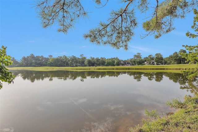 9511 Clubhouse Cir, Magnolia, TX 77354 - photo 45