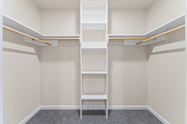 3626 Sparrow St, Houston, TX 77051 - spacious closet with carpet floors