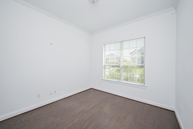 31623 Donoso Dr, Fulshear, TX 77441 - photo 20