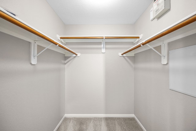 21002 Pineda Cir, Richmond, TX 77406 - spacious closet featuring carpet