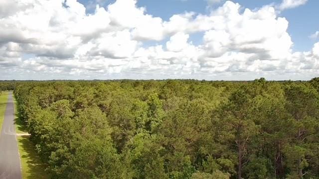 TBD Dream Catcher Dr, Wallisville, TX 77597 - photo 5