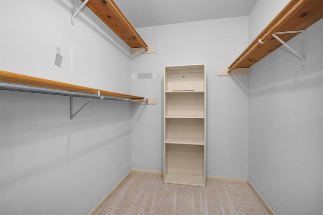 116 April Wind Dr E, Montgomery, TX 77356 - spacious closet with carpet