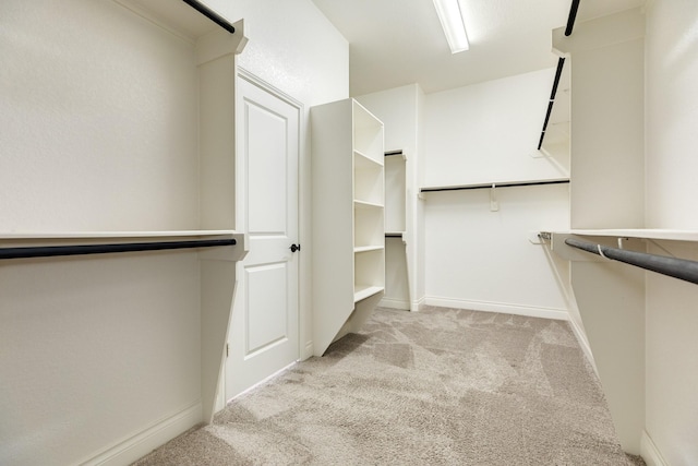 10318 Granite Ct, Iowa Colony, TX 77583 - walk in closet featuring carpet