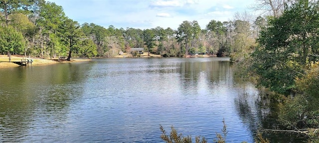 250 Wood Hvn, Livingston, TX 77351 - photo 14
