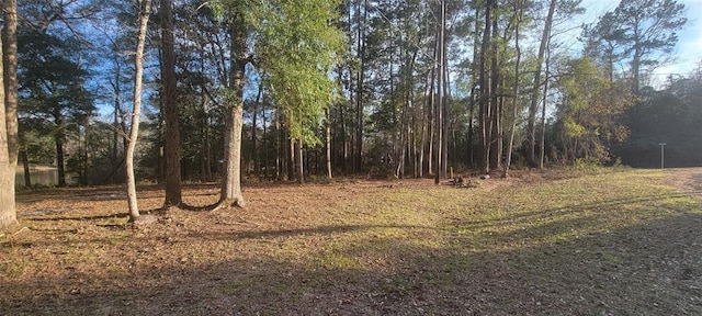 250 Wood Hvn, Livingston, TX 77351 - photo 15
