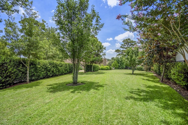 102 Lake Sterling Gate Dr, Spring, TX 77379 - view of green lawn