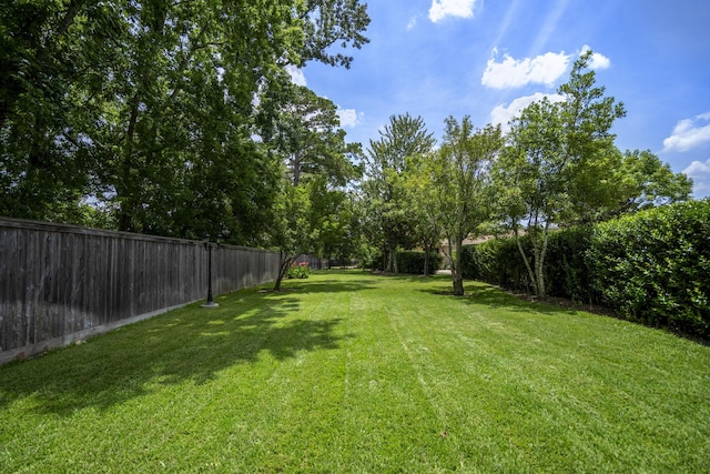 102 Lake Sterling Gate Dr, Spring, TX 77379 - view of fenced backyard