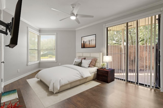 5200 Weslayan St Unit 101, Houston, TX 77005 - bedroom with wood finished floors, multiple windows, crown molding, access to exterior, and ceiling fan