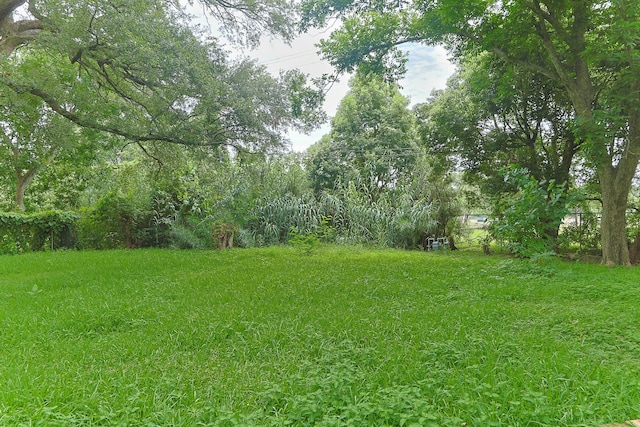 2807 S Houston Dr, La Marque, TX 77568 - photo 12