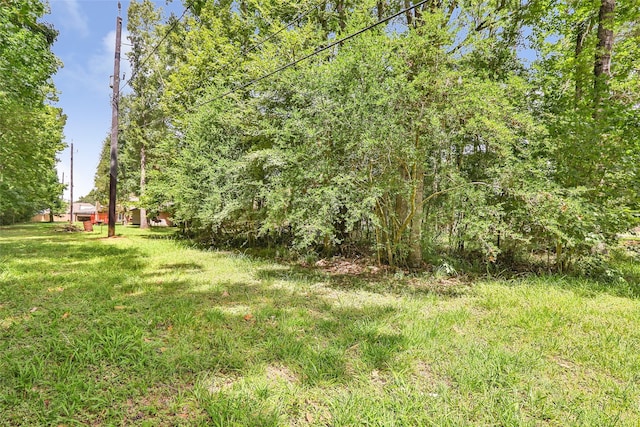 18334 Steele Point Dr, Crosby, TX 77532 - photo 10
