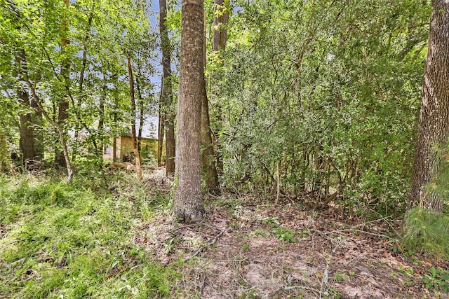 18334 Steele Point Dr, Crosby, TX 77532 - photo 4