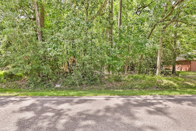 18334 Steele Point Dr, Crosby, TX 77532 - photo 1