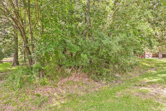 18334 Steele Point Dr, Crosby, TX 77532 - photo 5