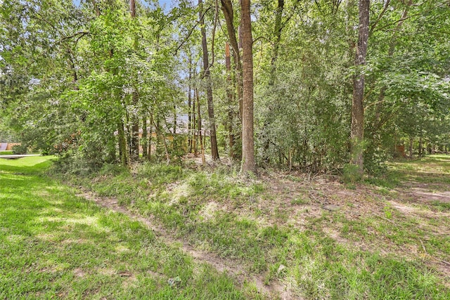 18334 Steele Point Dr, Crosby, TX 77532 - photo 6