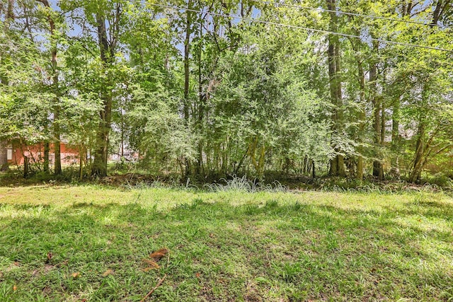18334 Steele Point Dr, Crosby, TX 77532 - photo 8