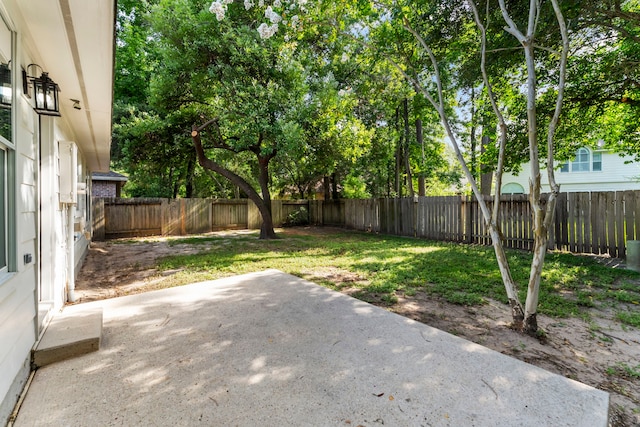 247 W Misty Dawn Dr, The Woodlands, TX 77385 - photo 31