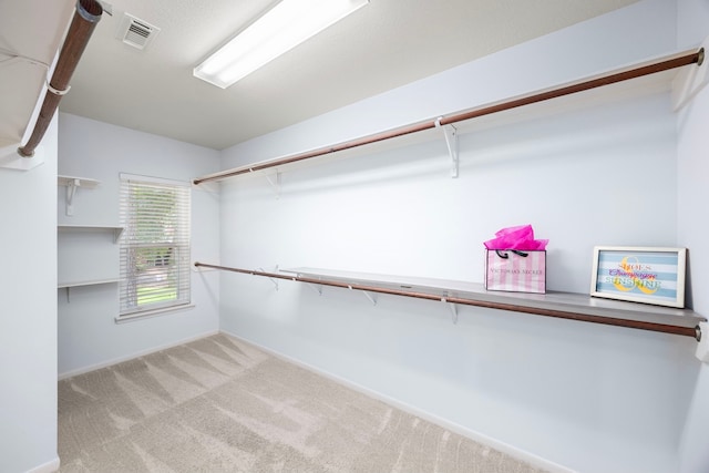 22 Windfern Pl, The Woodlands, TX 77382 - walk in closet with carpet