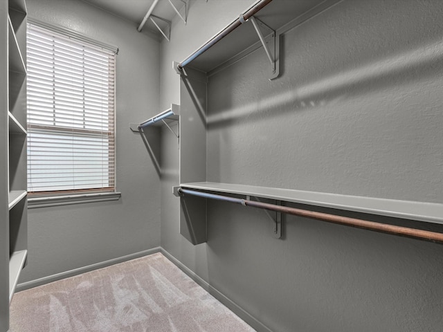 211 Cheswood Forest Pl, Montgomery, TX 77316 - spacious closet featuring carpet flooring