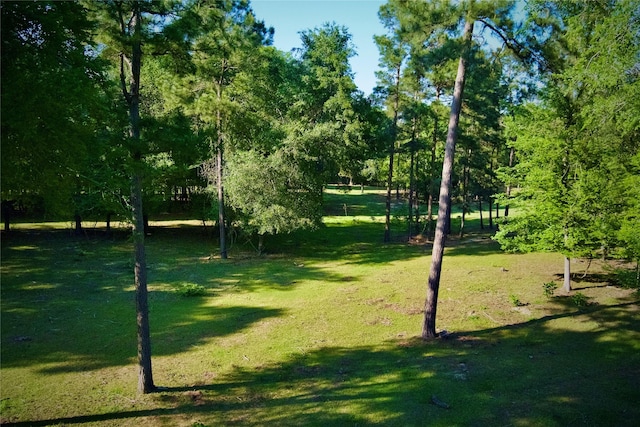 59 Beaconsfield Dr, Magnolia, TX 77355 - view of property's community featuring a lawn
