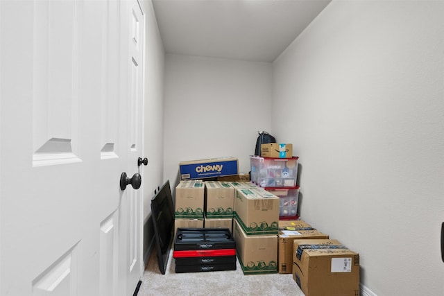 100 Anderson Ranch Ln, Friendswood, TX 77546 - view of storage