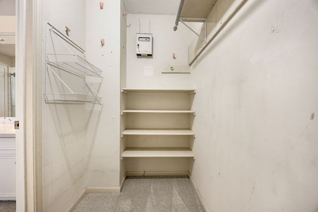 8020 Oakwood Forest Dr, Houston, TX 77040 - walk in closet featuring carpet flooring