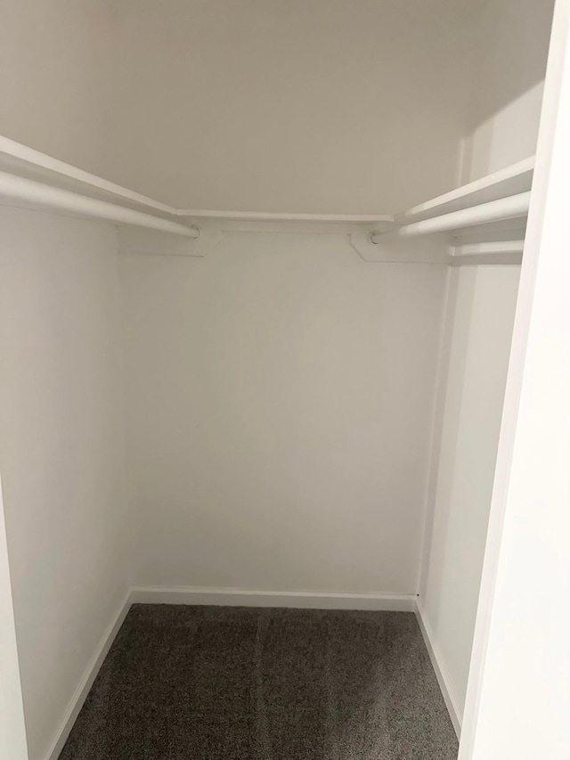 18468 Misty Wood Ln, Porter, TX 77365 - spacious closet featuring carpet floors