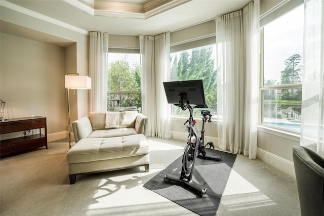 34207 Mill Creek Ct, Pinehurst, TX 77362 - exercise room featuring carpet, crown molding, and a tray ceiling