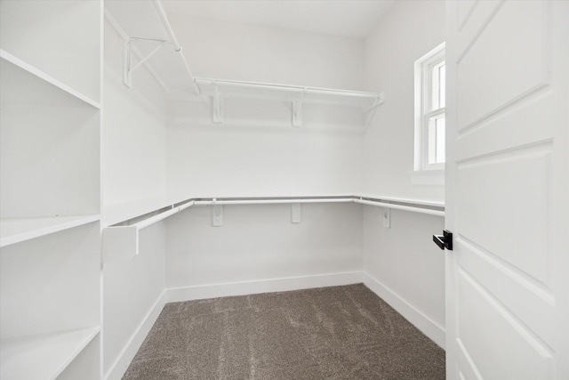8614 Viera Ln, Houston, TX 77075 - spacious closet featuring dark carpet