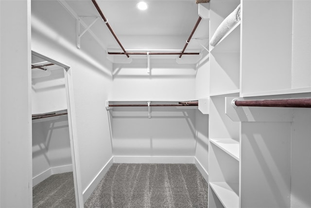6935 Palmetto St, Houston, TX 77087 - spacious closet with carpet floors