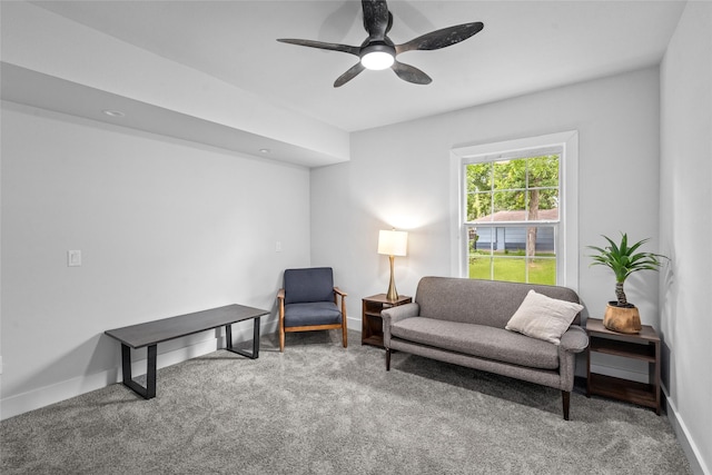 6935 Palmetto St, Houston, TX 77087 - sitting room with carpet and ceiling fan