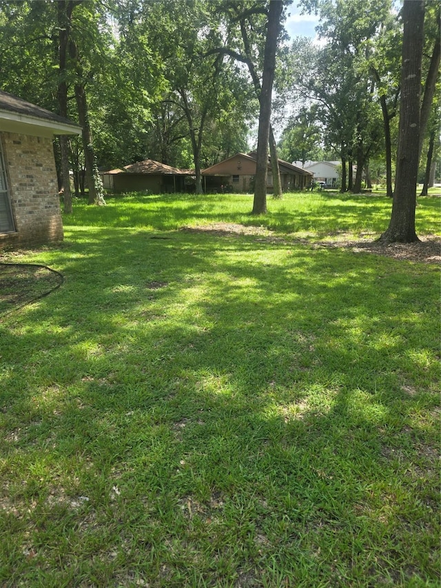 26718 Eastwood Dr, Cat Spring, TX 77386 - view of yard