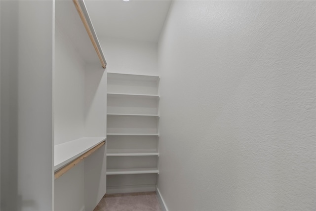 4505 Phlox St, Houston, TX 77051 - walk in closet featuring light colored carpet