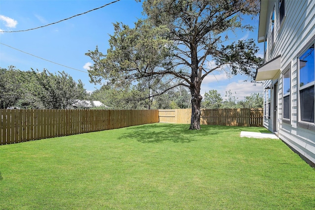 735 20th St, Hempstead, TX 77445 - view of fenced backyard