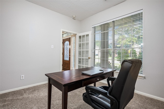 2603 Piney Woods Dr, Pearland, TX 77581 - office with carpet flooring, plenty of natural light, and a textured ceiling