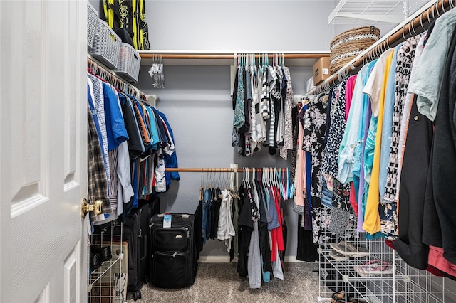2603 Piney Woods Dr, Pearland, TX 77581 - walk in closet with carpet