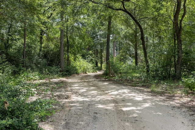 747 Fcr 300 Unit 301, Oakwood, TX 75855 - photo 19