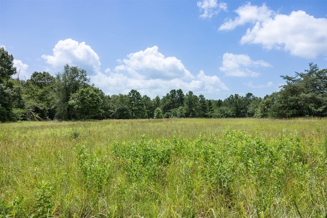 747 Fcr 300 Unit 301, Oakwood, TX 75855 - photo 21