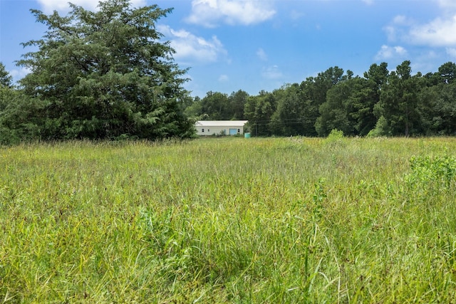 747 Fcr 300 Unit 301, Oakwood, TX 75855 - photo 22