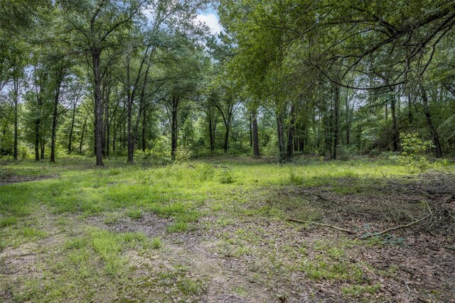 747 Fcr 300 Unit 301, Oakwood, TX 75855 - photo 23