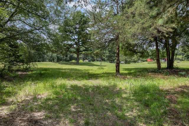 747 Fcr 300 Unit 301, Oakwood, TX 75855 - photo 27