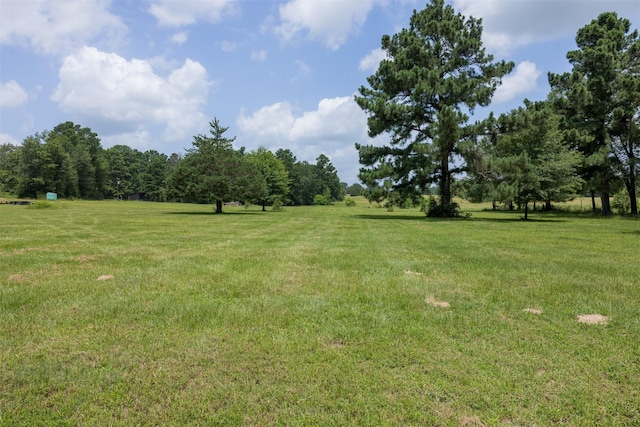 747 Fcr 300 Unit 301, Oakwood, TX 75855 - photo 28