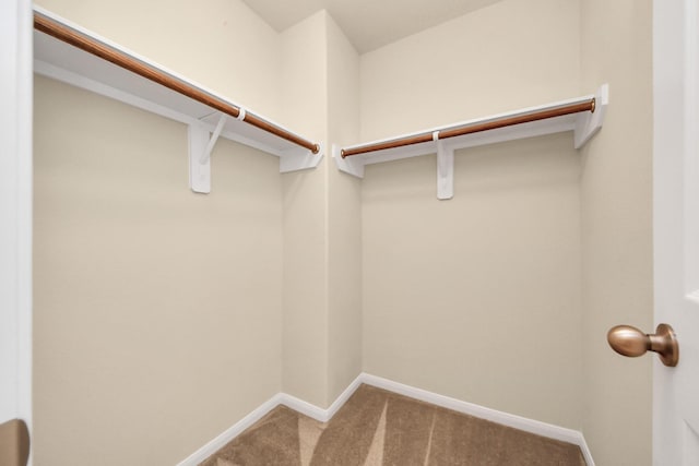 9914 Swallow Dr, Conroe, TX 77385 - spacious closet featuring carpet flooring