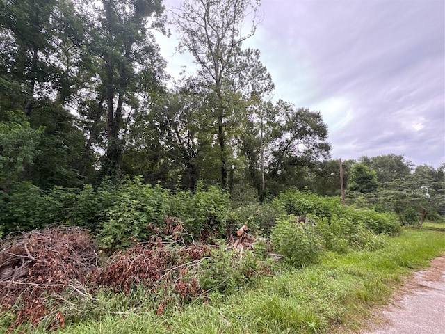 131 County Road 4282, Dayton, TX 77535 - photo 3