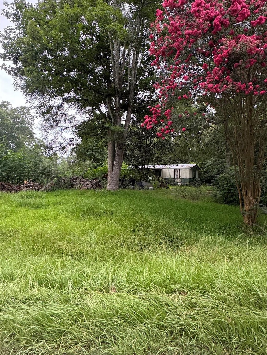 131 County Road 4282, Dayton, TX 77535 - photo 2