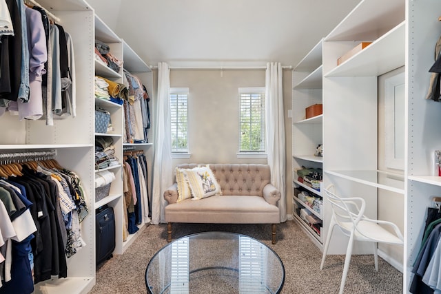 20314 Tarpon Bay Ln, Cypress, TX 77433 - view of spacious closet