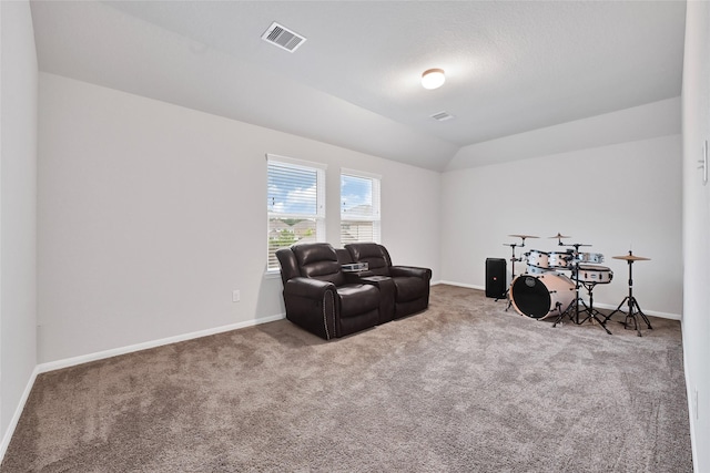 11346 Cascading Stream Way, Houston, TX 77044 - sitting room with carpet floors and lofted ceiling