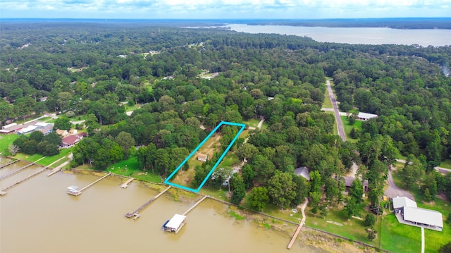 163 Deerwood Trl, Trinity, TX 75862 - photo 2